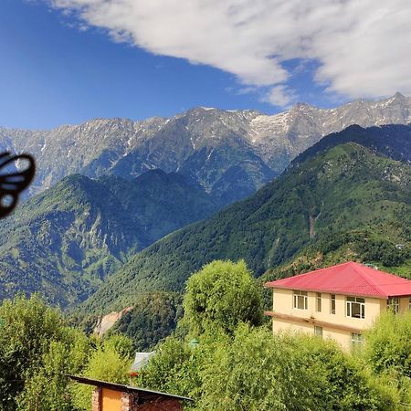 Sahaj Homestay Naddi Dharamshala Extérieur photo