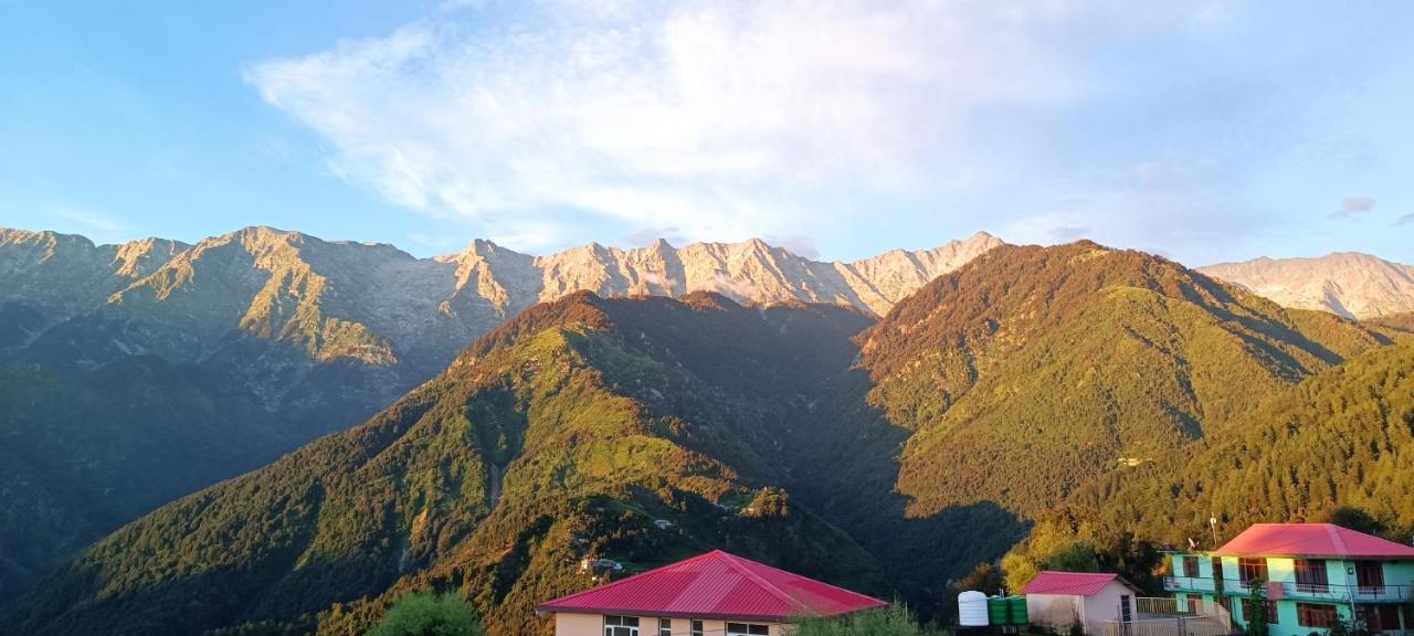 Sahaj Homestay Naddi Dharamshala Extérieur photo